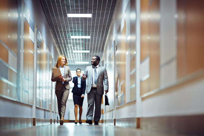 Master’s Paths for International Career Growth